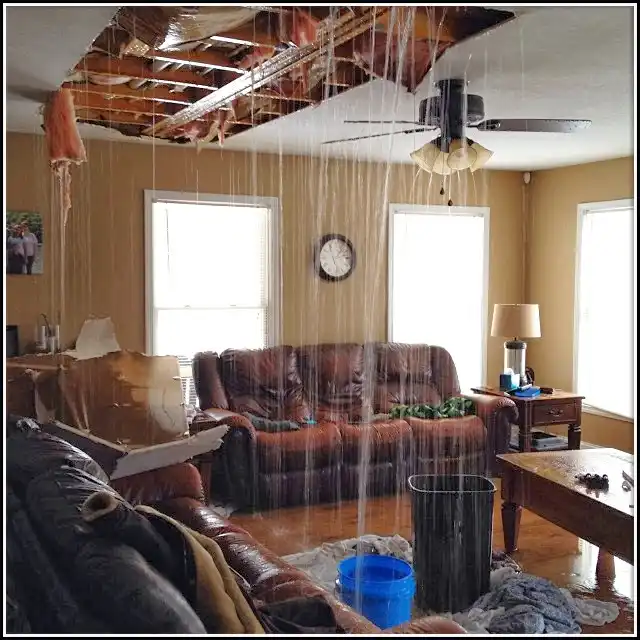Water Damage Restoration services in Brownfield, TX
