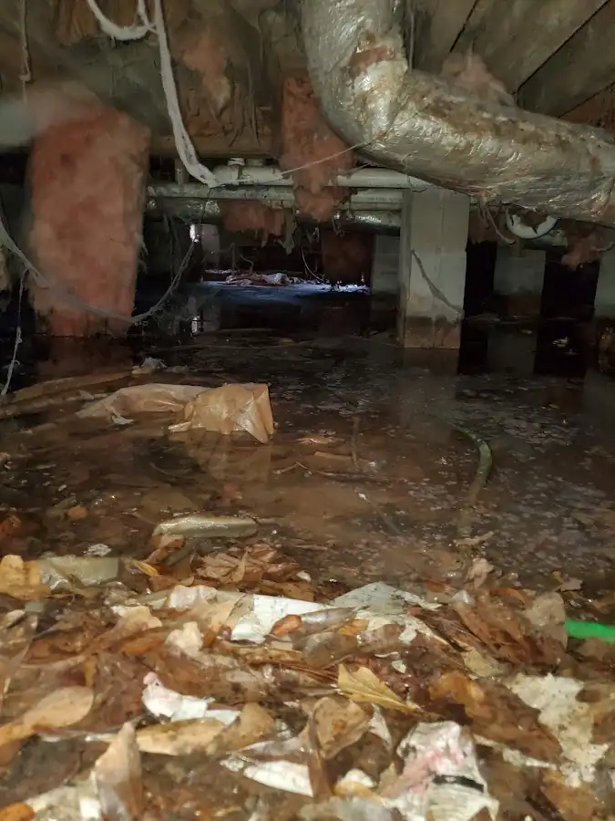 Crawl space flood assessment for Leak Detection & Repair in Brownfield