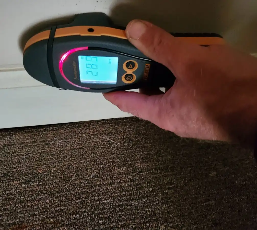 Moisture detection at baseboard during Sewage Cleanup & Sanitation in Brownfield